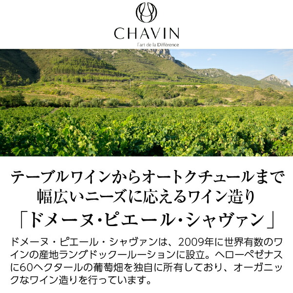 グラスに注がれるロゼ スパークリング